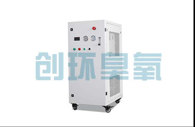 东丽工厂化养鲈必看：2026年臭氧发生器替代传统消毒的最新方案