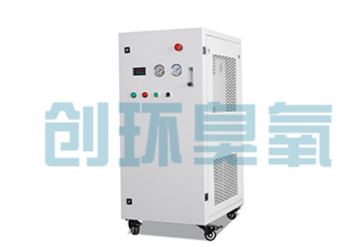 东丽石斑鱼养殖水质调控完整指南：臭氧发生器配置与操作步骤