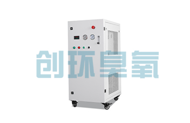 东丽比传统换水更高效？臭氧发生器在石斑鱼养殖中的水质净化原理解析