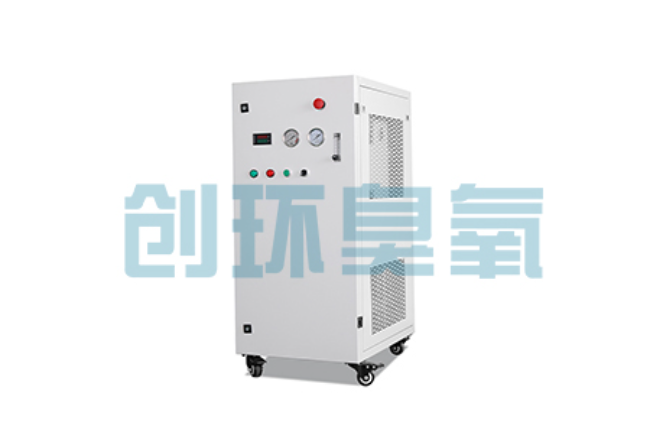 东丽比传统换水更高效？臭氧发生器在石斑鱼养殖中的水质净化原理解析